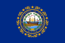 United States of America New Hampshire NH State Flag